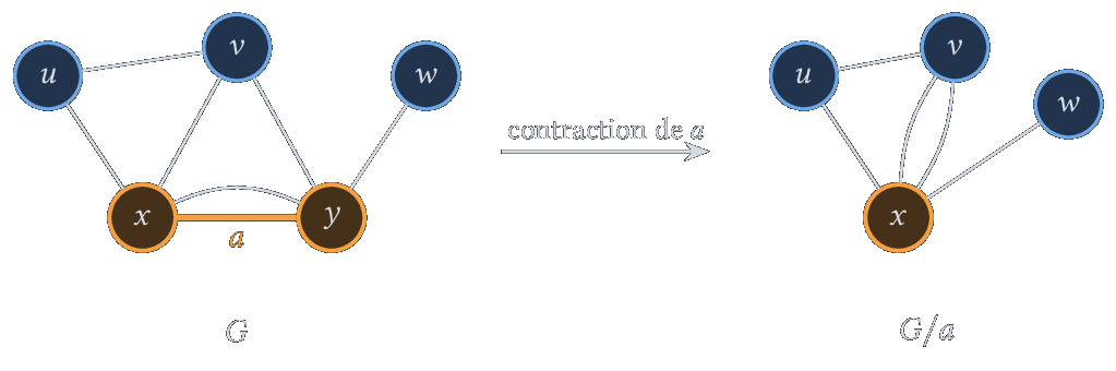 Contraction de l'arête a : y est fusionné dans x