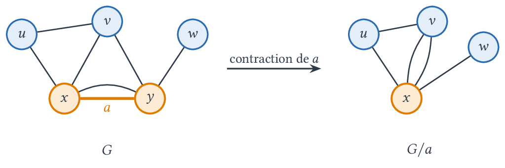 Contraction de l'arête a : y est fusionné dans x