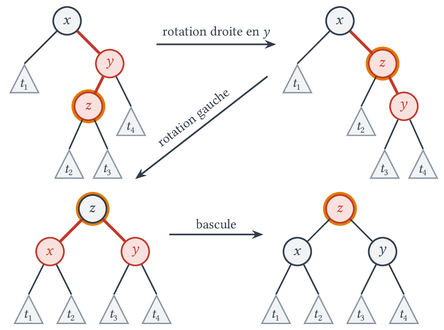 Cas x le z le y : rotation droite en y, rotation gauche, puis bascule.
