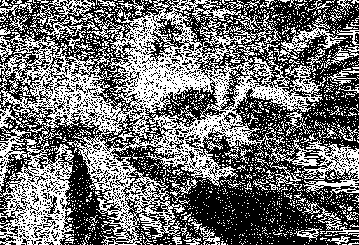 Raton laveur en noir et blanc
